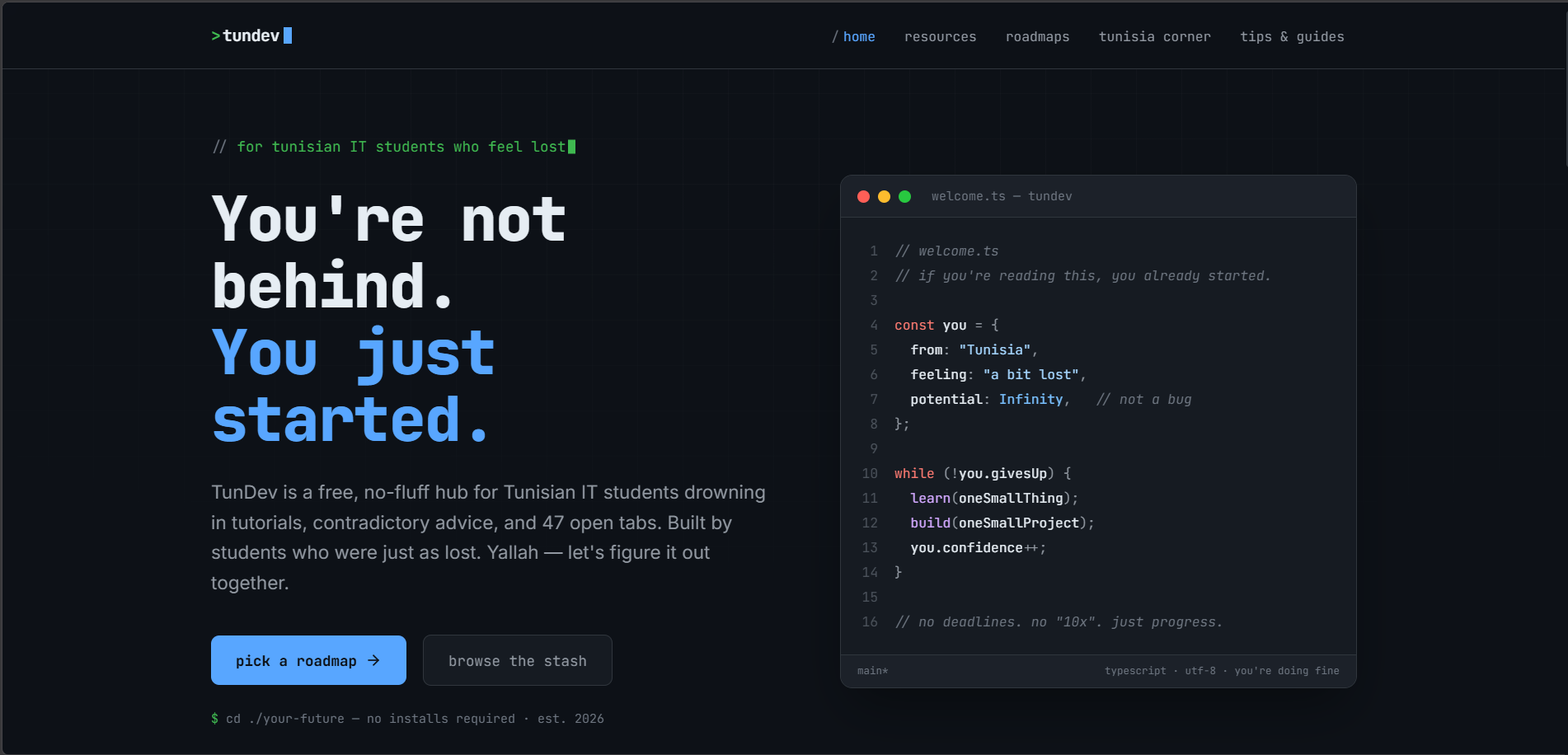 TunDev project screenshot